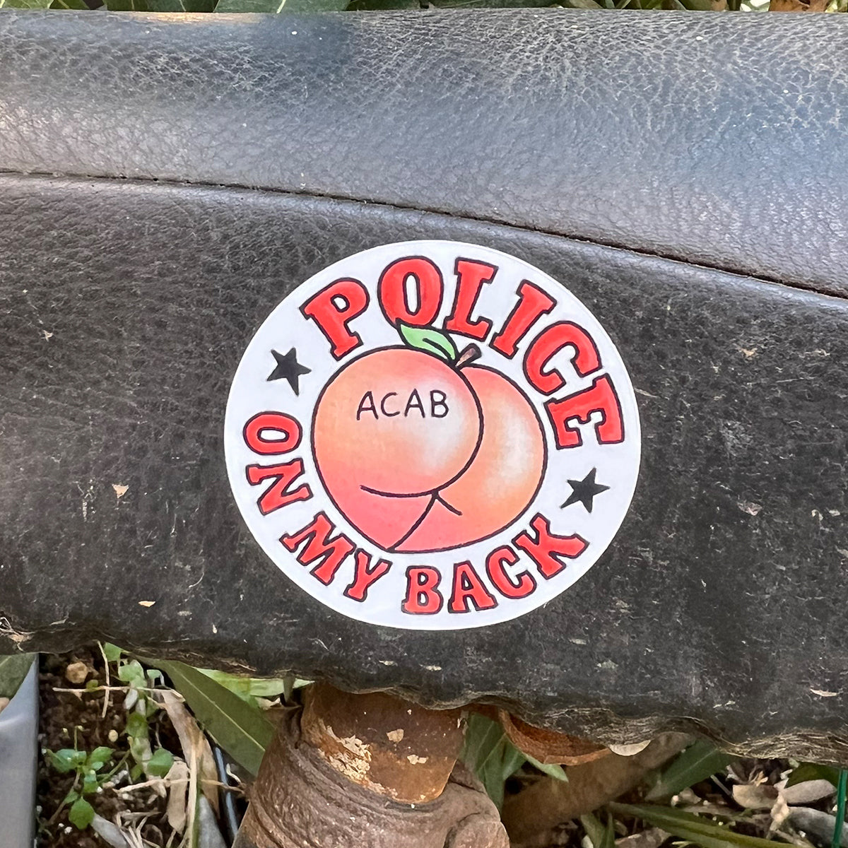 Police on my back